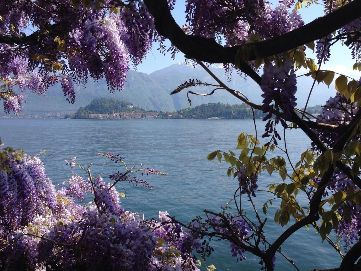 Apartament Rosa Dei Venti - Aparment In The Heart Of Bellagio With Parking Pokój zdjęcie